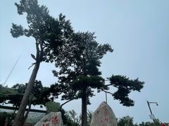 -妙峰山风景名胜区