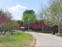 -永定河休闲森林公园