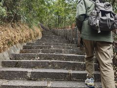 -广州白江湖森林公园