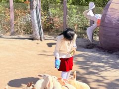 -茅山东方盐湖城景区