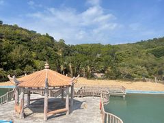 -广东惠东海龟国家级自然保护区