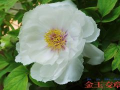 -六和塔文化公园