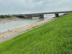 -合肥滨湖国家森林公园