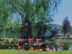 -石家庄市动物园