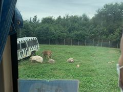 -西安秦岭野生动物园