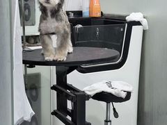 -八公叔叔宠物美容连锁(春申店)