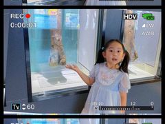 -嘉荫恐龙国家地质公园
