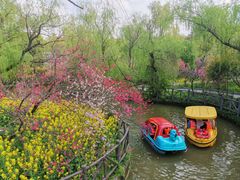 -南汇桃花村