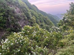 -西安祥峪森林公园