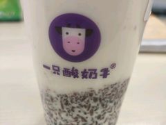 -一只酸奶牛(益州国际店)