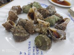 清蒸小海螺-北戴河庆山饭店·海鲜砂锅粥(北戴河黑石路店)