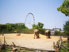 -上海野生动物园
