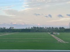 -杭州湾海上花田景区