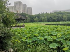 -高子水居