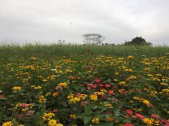 -光明小镇欢乐田园