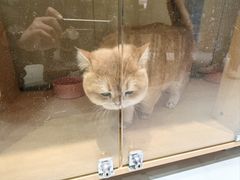 -派多格宠物(御景湾店)