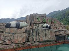 -中国大熊猫保护研究中心雅安碧峰峡基地