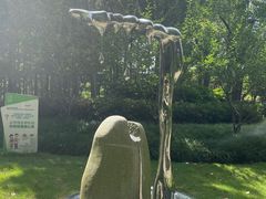 -陈家山荷花公园