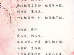 -清真刘记全羊肉鲜汤馆(前进路店)