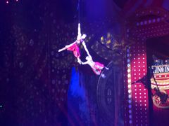 -珠海横琴长隆《卡卡虎奇遇记》