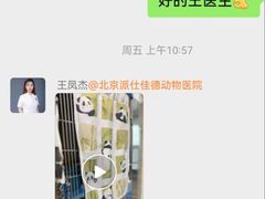 -北京派仕佳德动物医院·超导核磁·CT·神经科·骨科·内外科·急重症管理中心