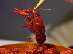 -靓靓蒸虾·头牌蒸虾(雪松路总店)