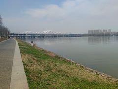 -灞河西岸滨河公园