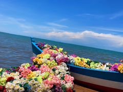 -青海湖国家重点风景名胜区