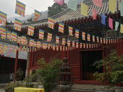 -北京上方山国家森林公园