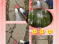 -西湖风景区十里琅珰-五云山