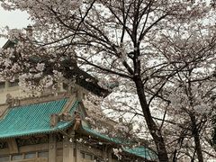 -武汉大学-樱园
