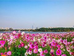 -海珠湖公园