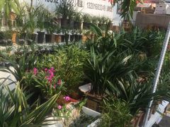 -秦美花卉(天朗·莱茵小城2期店)