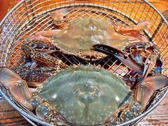 -海味当家·蒸锅海鲜(星海公园店)