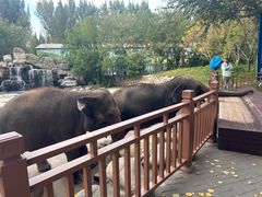 -北京野生动物园