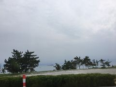-山东大学(威海校区)