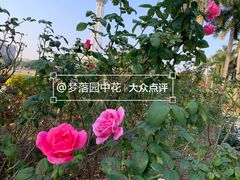 -文华公园(禅城区)