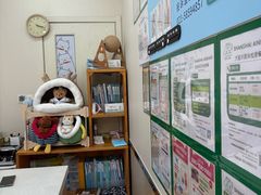 -爱妮康宠物医院·干细胞免疫细胞·肿瘤·心脏(张江店)