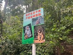 -黔灵山公园