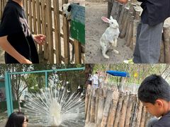 -水上乐园·欢乐世界