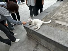 -西安大兴善寺