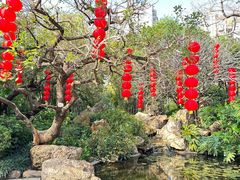 -晓港公园