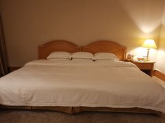 -南京维景国际大酒店(南京博物院店)