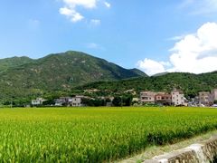 android_upload_pic-大赤坎肥仔强烧味海鲜餐厅(大赤坎店)