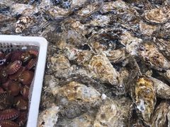 -青石桥市场北1-27号