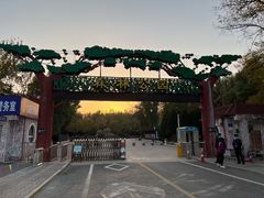 -森林公园(尖草坪区)
