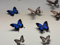 -香港科学馆