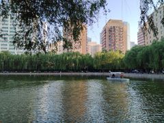 -团结湖公园
