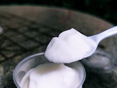 椰子雪糕-洪馨椰子