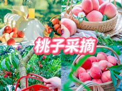 -上海山野camping·户外天幕烧烤·团建拓展营地